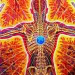 Anatomía de Grey, Alex Grey