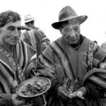 Kallawayas: médicos de Los Andes