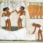  El consumo de mandrágora, alcohol, loto en el antiguo Egipto