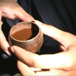 La composición química de la ayahuasca