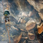 Los cazadores de miel alucinógena de Nepal