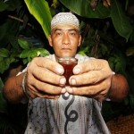 Ocho mitos desmontados sobre la ayahuasca